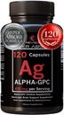 Suplemento Alfa GPC " BioPerine for Hyper Absorption - 120 Conde, Alpha-GPC 600mg por Serving - Nootropics for Memory, Focus, Energy, " Drive - Suplementos de línea para Boost Acetylcholine, Made in USA