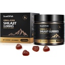 Orgánica Shilajit Gummies, Pure Himalayan Shilajit Gummies for Hombre Suplemento, Gold Shilajit Gummies for Women,Natural 85+ Trace Minerals, Ashwagandha, Black Seed Oil Extract, 90 Gummies