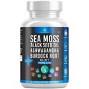 Silicon Sea Moss Black Seed Oil Ashwagandha Bladderwrack Burdock - 60 Cuenta