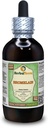 Bromelaina (Ananas Comosus) Glicérite, Polvo seco Extracto líquido libre de alcohol (Marca: HerbalTerra, Proudly Made in USA) 4 fl.oz (120 ml)