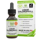Benevolent Chlorophyll Liquid Drops – Detox &amp; Immune Support, Internal Deodorizer &amp; Skin Health Supplement, Non-GMO, 4 Month Supply, Natural Mint Flavor