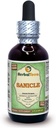 Herbal Terra Sanicle (Sanicula Europaea) Glicérite, hierba seca Sin alcohol Extracto líquido 2 oz