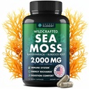 Sea Moss Capsules - Irish Sea Moss Advanced with Burdock Root, Bladderwrack &amp; Muira Puama for Immunity, Gut, " Energy - Superfood Sea Moss Suplementos w/Raw Sea Mos Powder - 120 Irish Seamoss Pills